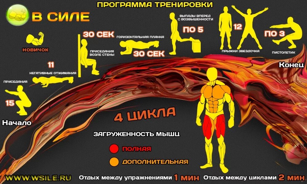Программа тренировок упражнения. Программа тренировок. тренировочная программа. кроссфит программа тренировок. программа тренировок на силу.