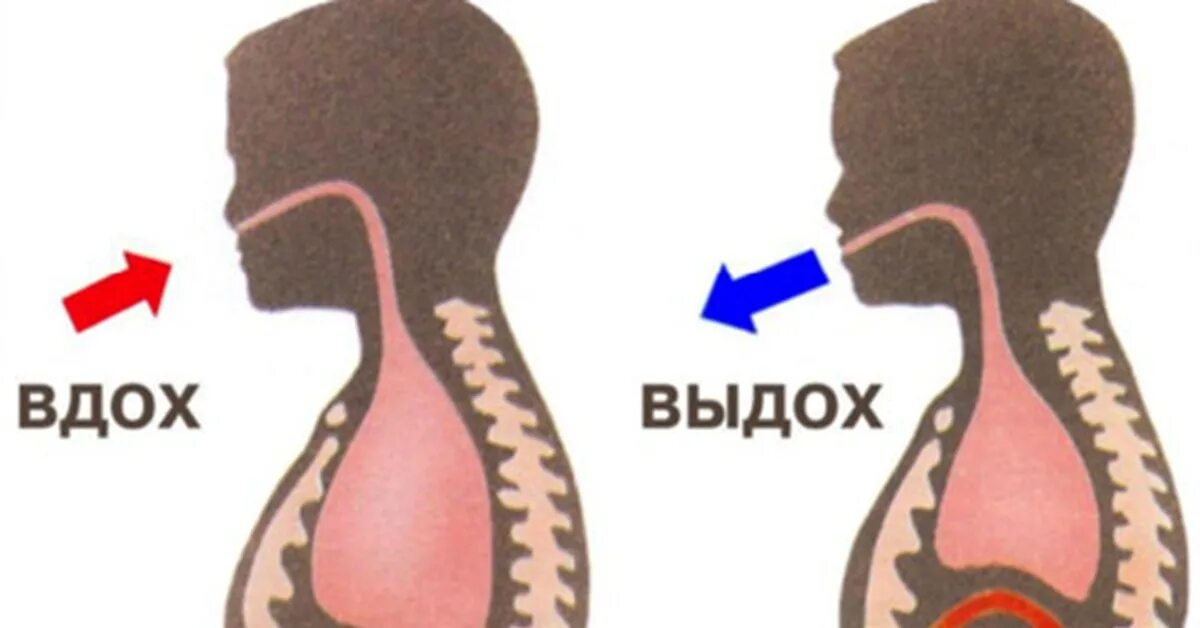 Маленькие вдохи. Вдох выдох. Вдох выдох картинка. Правильный вдох и выдох. Вдох выдох рисунок.