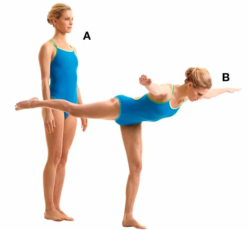 Где расположены рецепторы позволяющие выполнять данные упражнения. Ласточка техника выполнения гимнастика. Техника выполнения упражнения Ласточка физкультура. Ласточка упражнение в гимнастике. Упражнение Ласточка для детей.