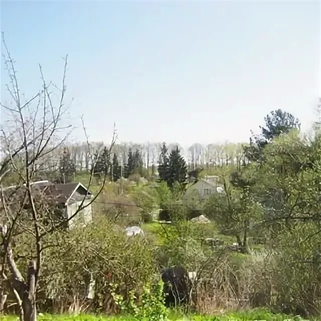 Садоводства красное село. Садоводства красное село. Садоводства красное село. Садоводства красное село. Садоводства красное село.