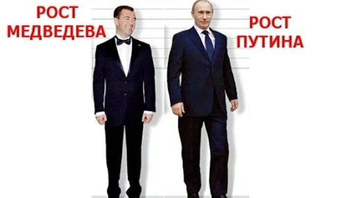 Рост путиной в см. Рост путиной в см. Дмитрий медведев рост. Рост у путина 143 см. Владимир путин рост 152.