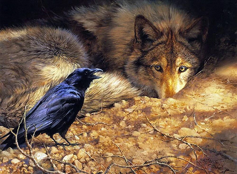 Живопись Бонни Маррис. Художница: Bonnie Marris волки. Волк и ворон. Волки и вороны.