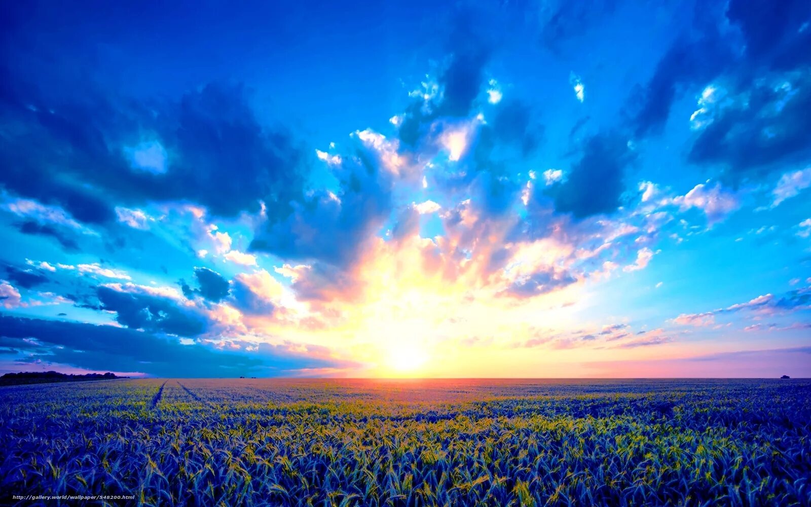 рассвет в поле. пейзаж с облаками. солнечное небо. утро солнце. солнечное небо.