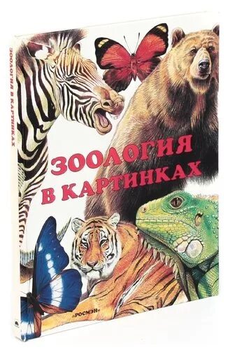 Книги про зоологию. Барков Зоология в картинках. Зоология в картинках книга.