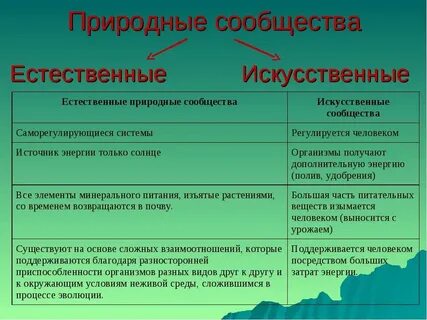 Естественные и искусственные тела 3 класс примеры