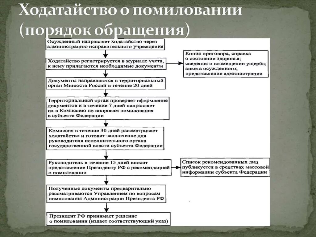 Осуществление помилования орган власти. Процедура помилования. Порядок подачи ходатайства о помиловании. Ходатайство о помиловании образец.