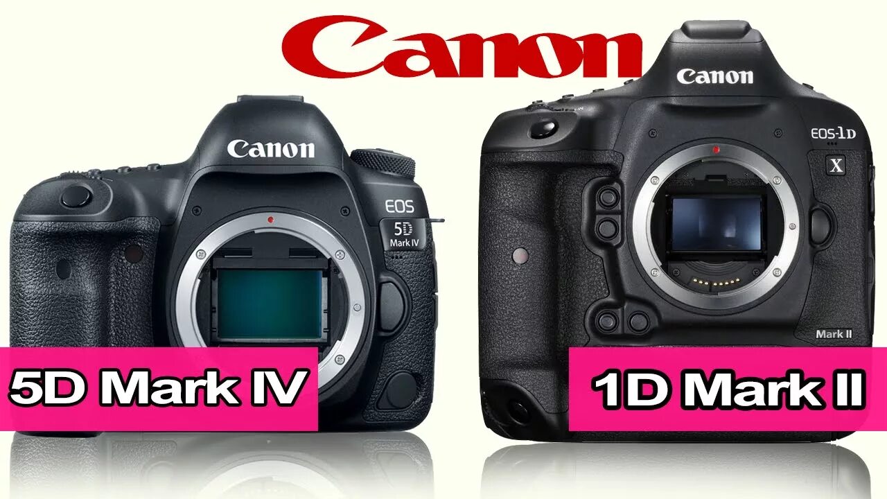 Canon mark сравнение. Canon 1dx Mark 4. Canon 5d Mark IV vs 1dx Mark III. 1dx Mark II. Canon 1dx Mark lll.