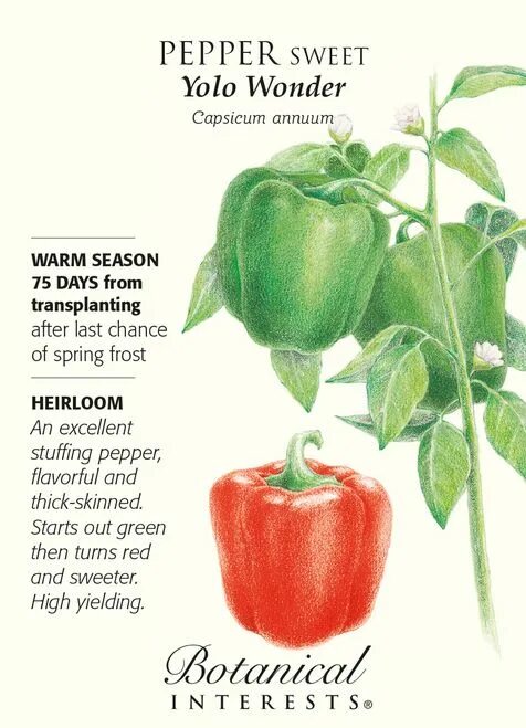 Sweet wonders. Свит вондер. sweet wonder роза. capsicum перевод.