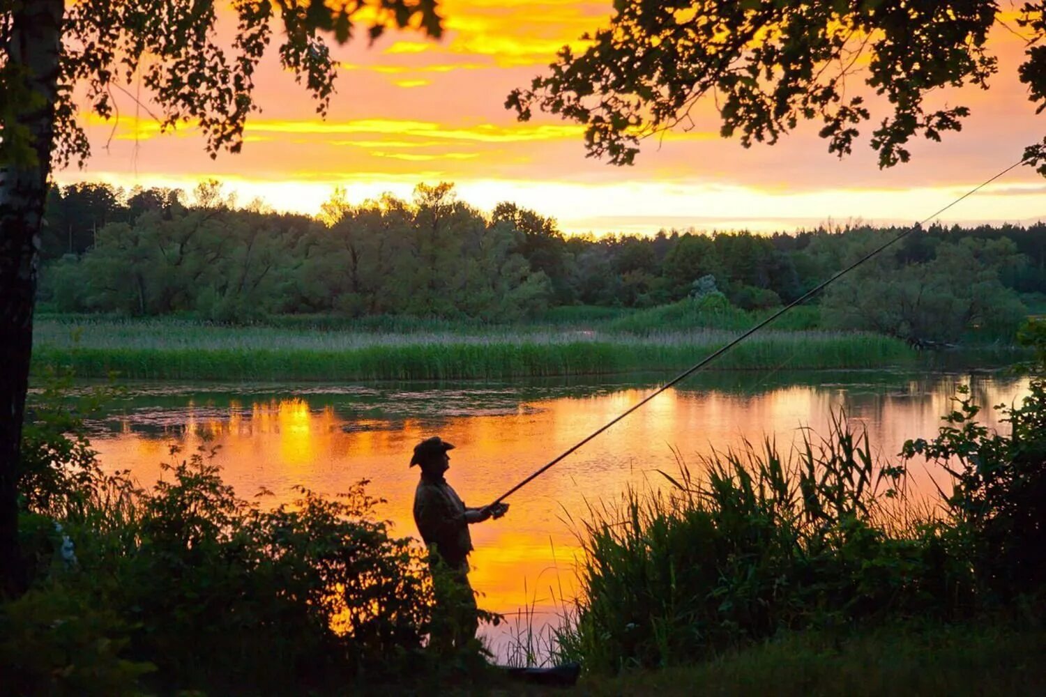 Красивая природа рыбалка. Летняя рыбалка. Рыбалка летом. Пейзаж с рыбаком.