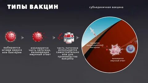Корпускулярные вакцины