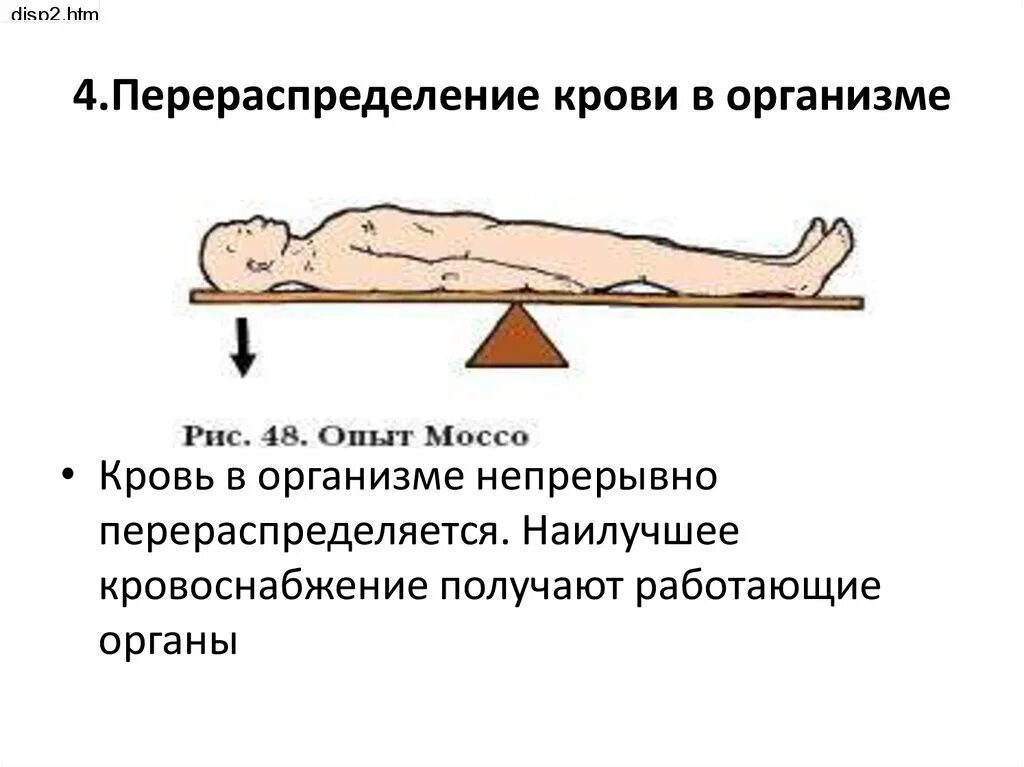Как можно объяснить результаты опыта моссо кратко. Перераспределение крови в организме опыт моссо. физиологическое значение перераспределения массы крови.. перераспределение крови в организме кратко. перераспределение крови в трупе.