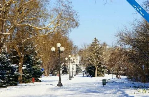 Синоптик евпатория дней