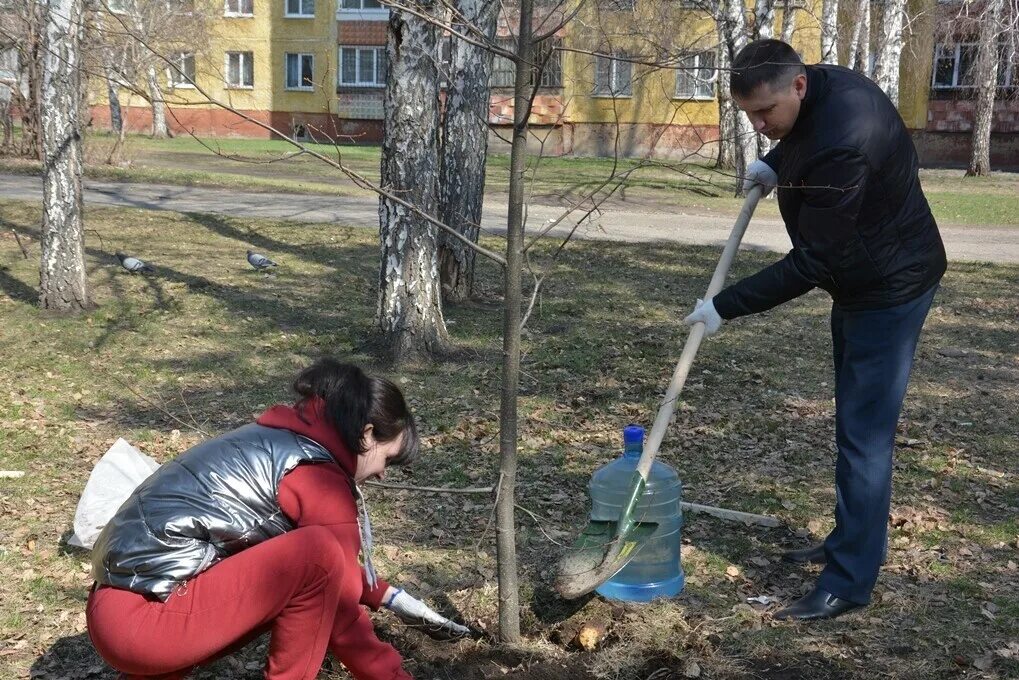 Высадка деревьев. Акция дерево. Профсоюзная аллея деревьев. Санитарная очистка.