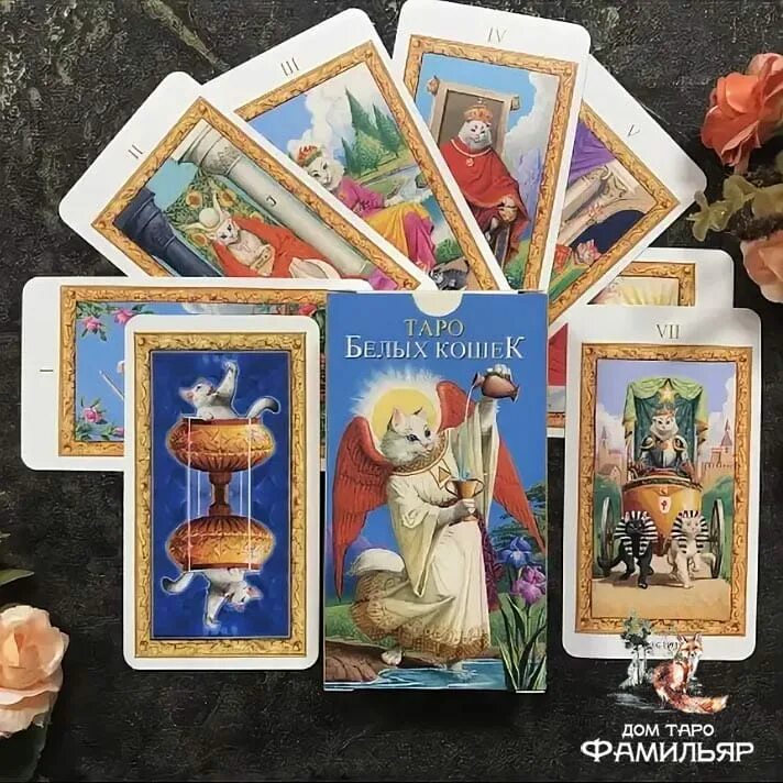 Таро котики значение карт. Lo scarabeo таро белых кошек. tarot of white cats  таро белых кошек. таро белых кошек галерея. таро кошек галерея.