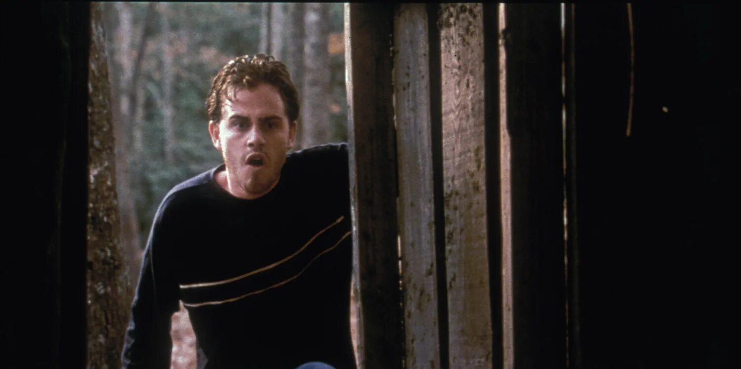 лихорадка 2011