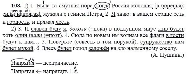 Русский язык 8 класс ладыженская номер 217. Русский язык 8 класс. русский язык 8 класс упражнение 108. русский язык 8 класс ладыженская. упражнение 108 по русскому языку 8 класс ладыженская.