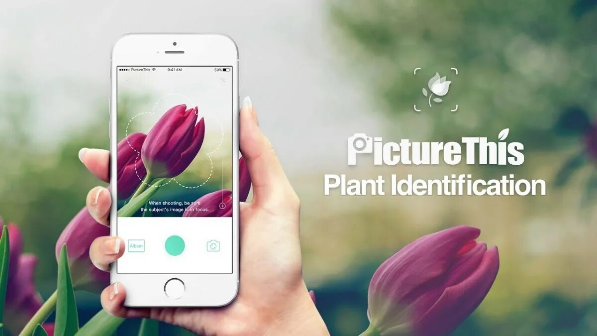 Приложение определяющее растения. Picture this приложение. приложение цветы. picturethis - plant identification. мобильное приложение цветы.