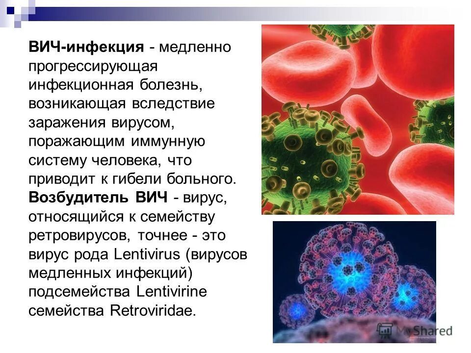 Заболевание спидом вызывают вирусы. ВИЧ поражает клетки иммунной системы. Возбудители вирусных инфекций с кровяным механизмом передачи. Вирус ВИЧ вызывает синдром приобретённого иммунного дефицита.