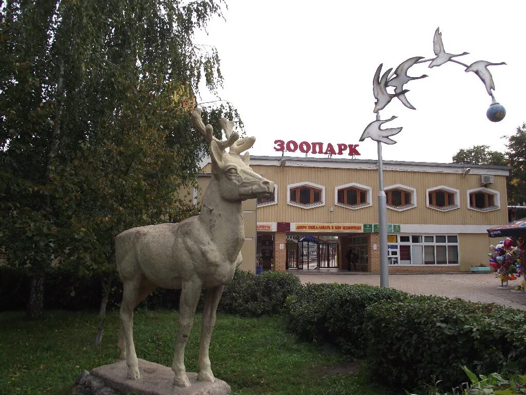 Липецкий зоопарк нижний парк. Зоопарк липецк. Зоопарк нижний парк липецк. Зоопарк нижний парк липецк. Липецкий зоопарк липецк.