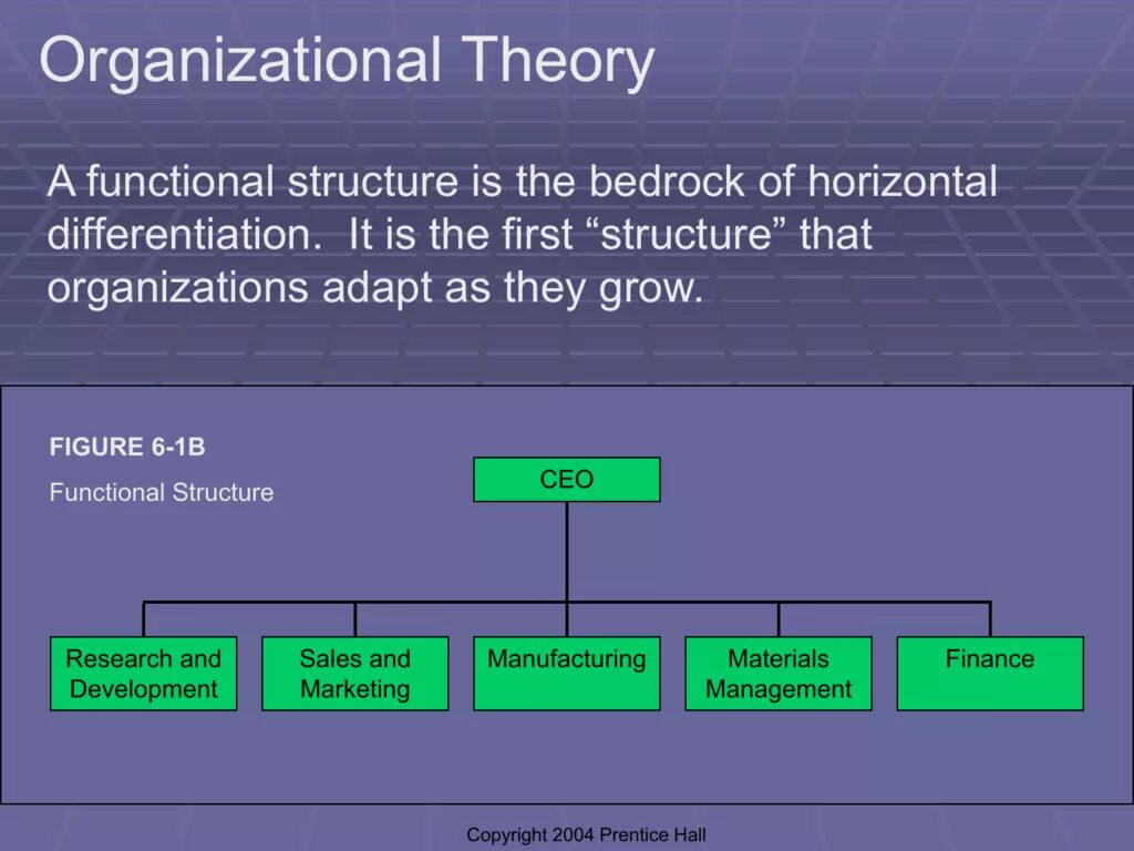 First structure. Multidivisional structure. Organizational Theory. Functional Organizational structure. Structural Functionalism.