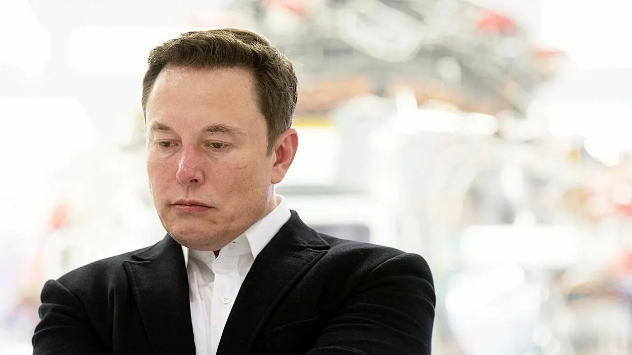 Илон маск (elon musk). Инвестфонд musk. Илон маск бизнесмен. Инвестфонд musk. Илон маск (elon musk).