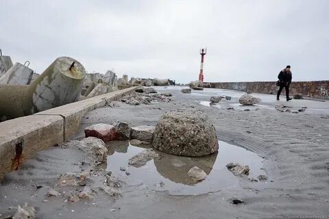Шли калининграда