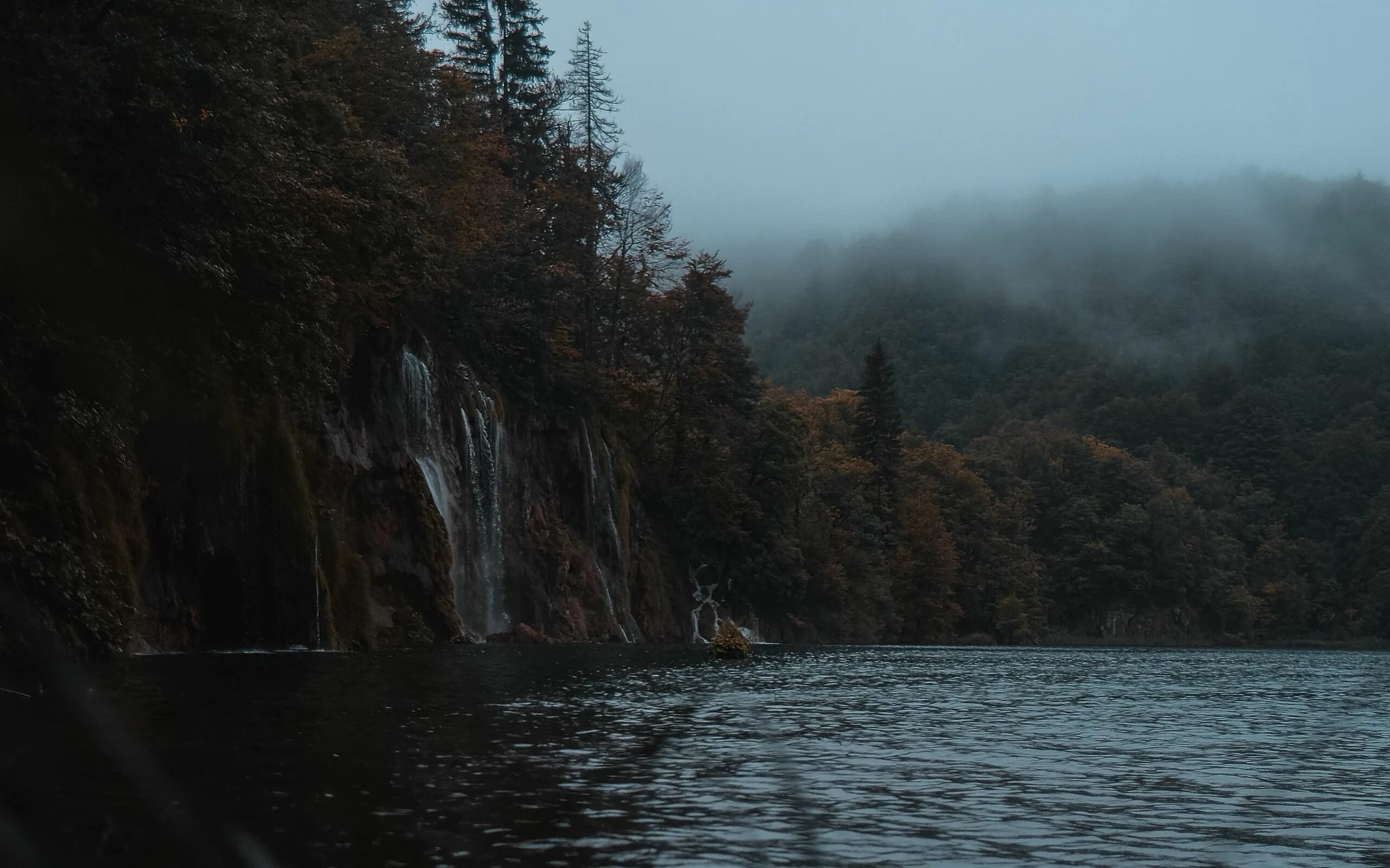 Мрачная река. Туманный берег. Обрыв у озера. Обрыв в лесу.