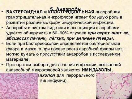 Инфекции вызванные флорой