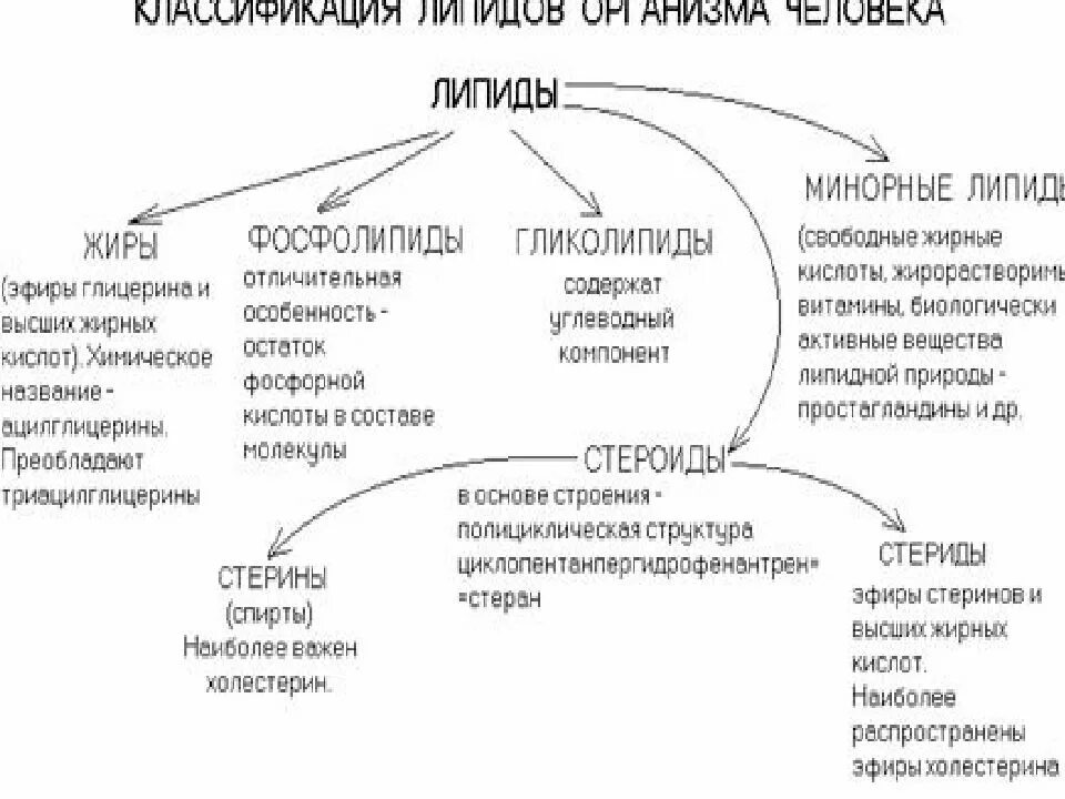 Связи липидов. Классификация липидов с формулами. Состав липидов таблица. Классификацию и функции липидов в организме.. Липиды классификация и особенности.