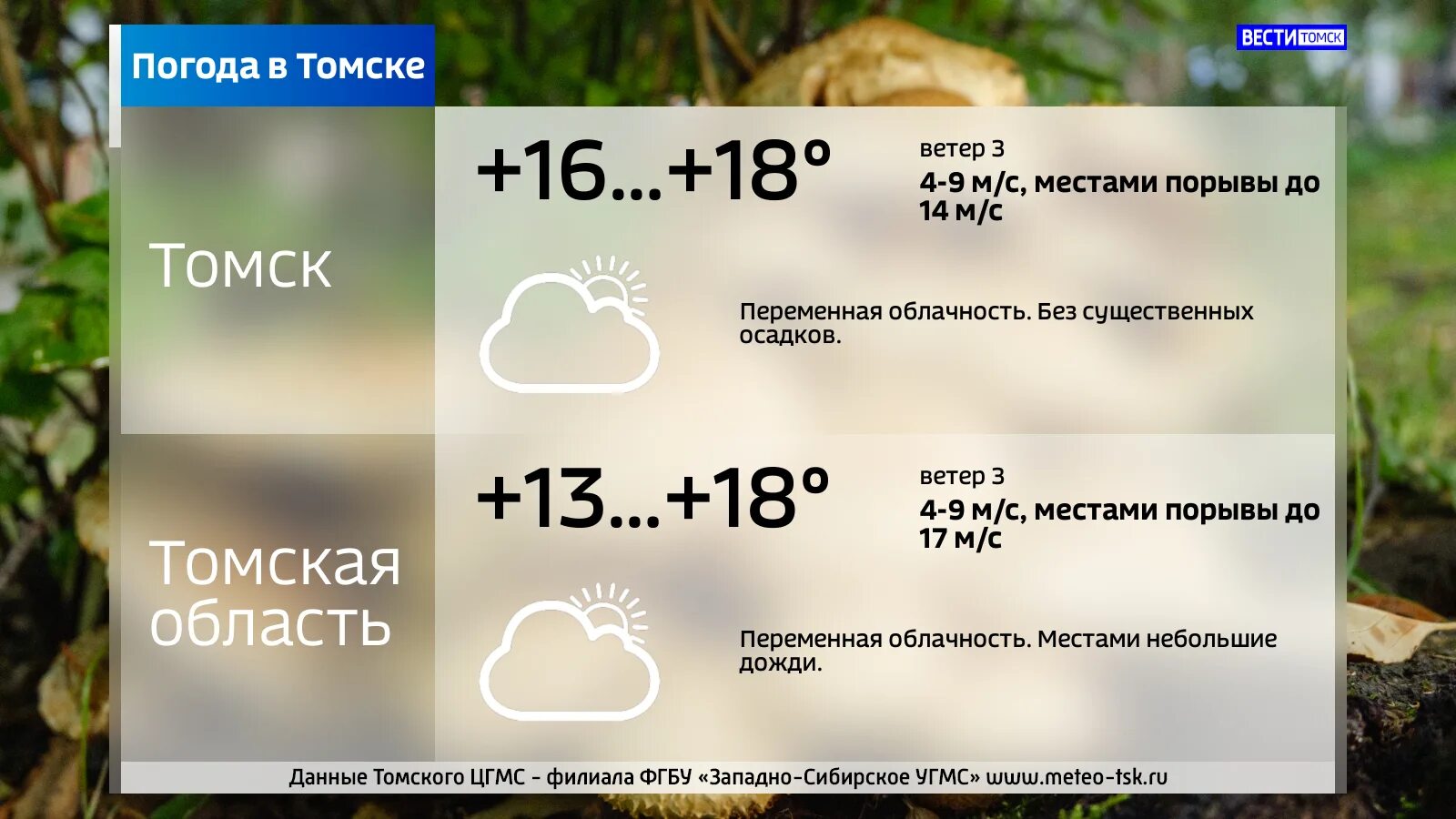 Погода в томске на неделю на 14. Погода в Томске. Погода в Томске сейчас. Погода в Томске сегодня. Рп5 Томск.