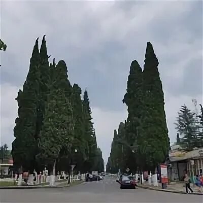Кипарисовая 2