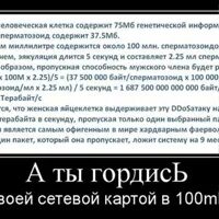 Кто такие темщики