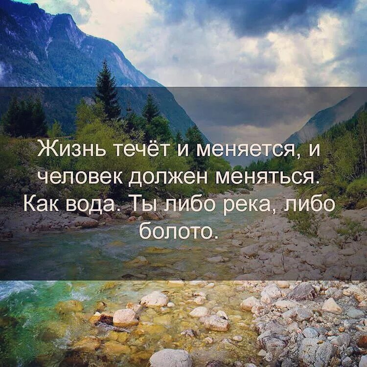 Афоризмы о природе. Красивые цитаты про природу. Высказывания о природе и человеке. Афоризмы про красивую природу.