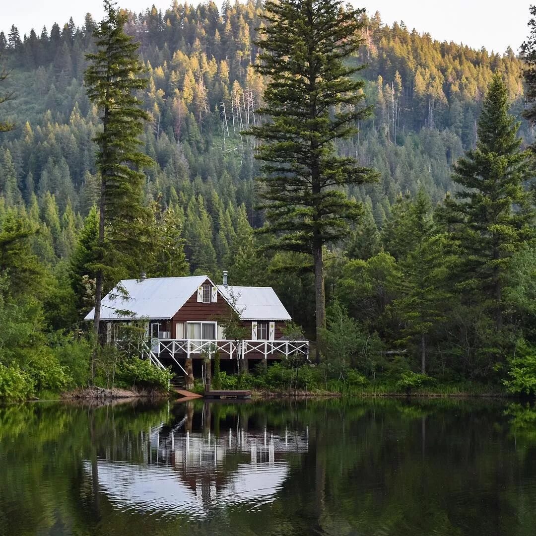 House near the lake. Лес горы штат Монтана домик у озера. Домик у реки в Йёльстере. Норвегия. Фахверк Швейцария горы озеро лес. Дом у озера штат Монтана.