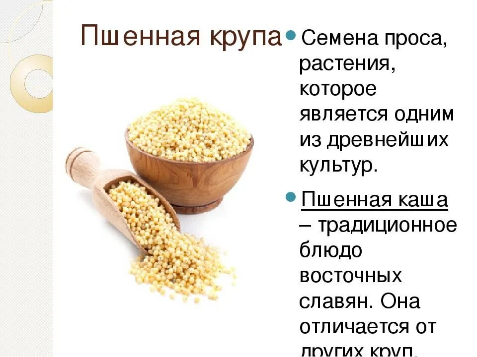 Крупа из сорго. Крупа сорго каша. Пшенная крупа. Крупы полезные из пшеницы. Состав пшена