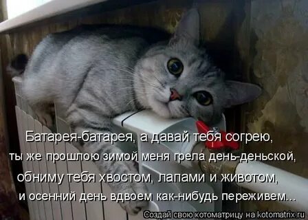 Давай согрею