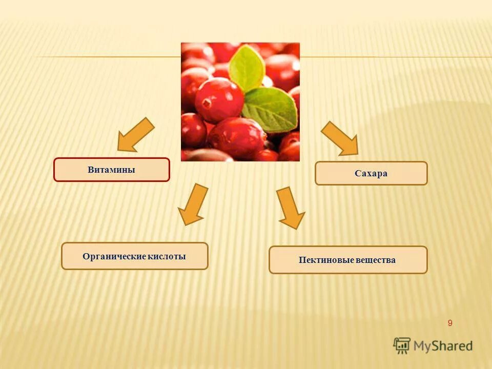 минеральные вещества сахара
