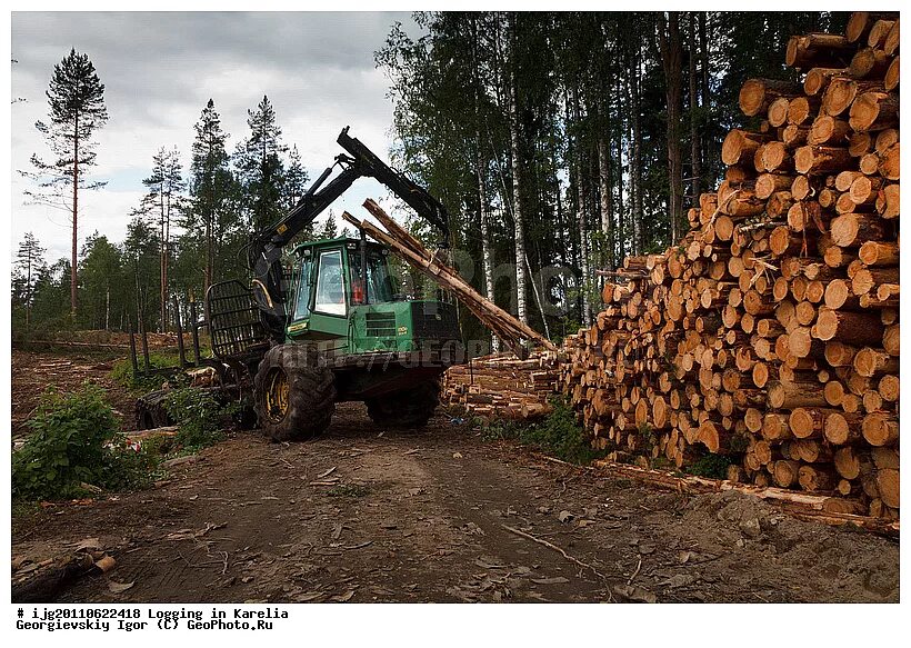 Лесная промышленность северо западного. Лесопромышленный комплекс восточной сибири. Отрасли лесной промышленности европейского севера. Деревообрабатывающая отрасль. Лесная, деревообрабатывающая и лесохимическая промышленность урала.