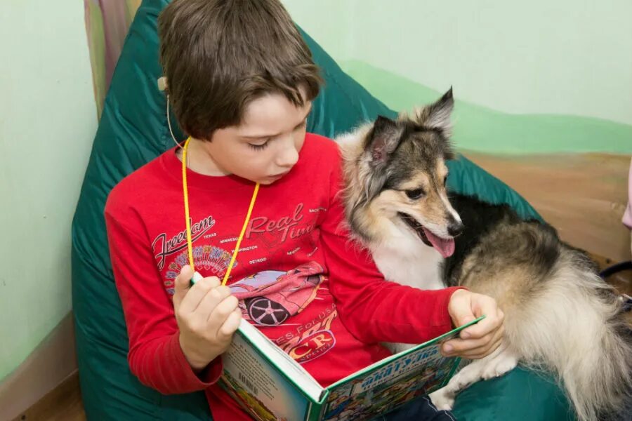 Дети чтение собаки. Ребенок читает собаке. Конкурс читаем с собакой. Собака читает новости. Дети читают собаке