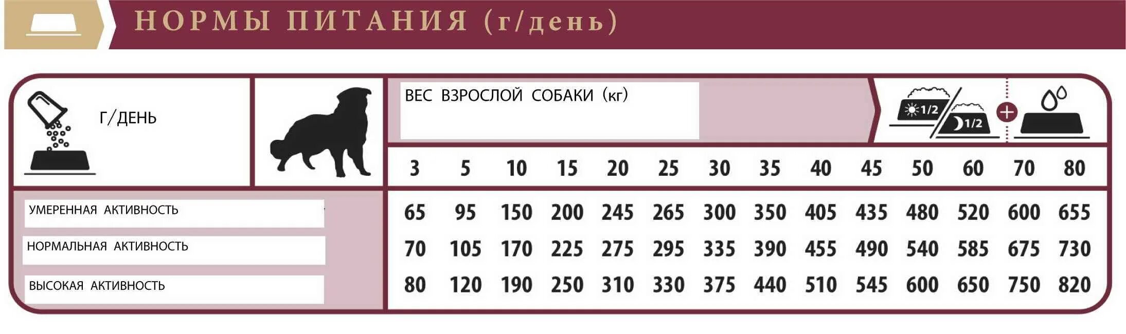 Норма сухого корма для собаки 3 кг. Суточная норма сухого корма для собак крупных пород таблица. Суточная норма сухого корма для собак таблица. Таблица нормы кормления щенков мелких пород.