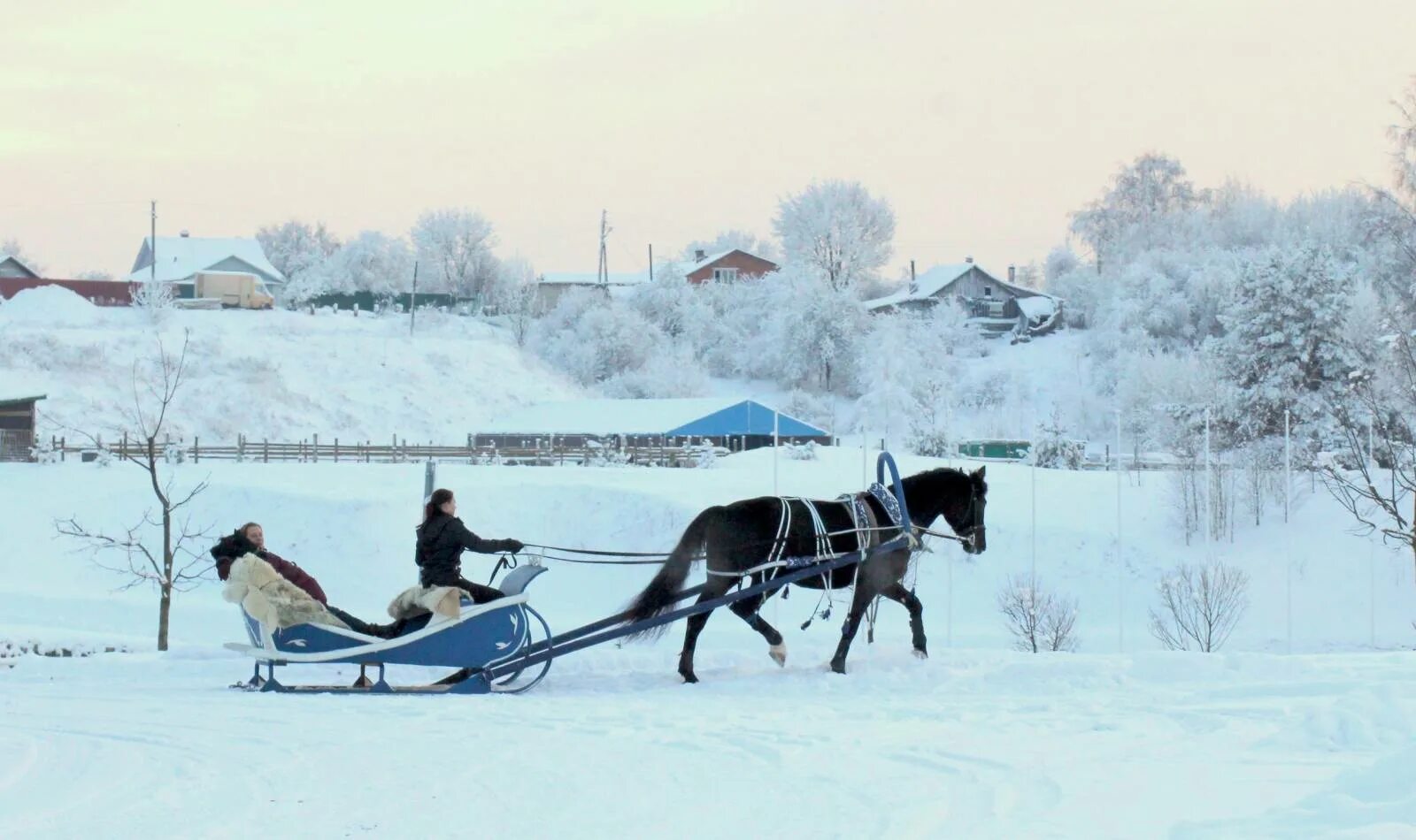 Звоны мерзлые. Зима в деревне. Лошадь с санями зимой. Зимние сани для лошадей. Лошадь запряженная в сани зимой.