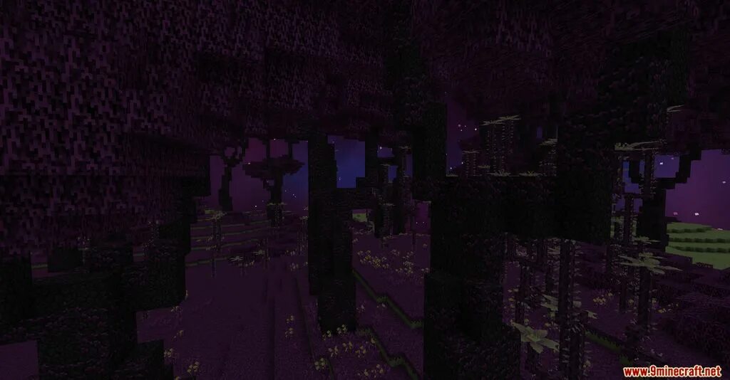 Мод better end. Эндер биом в майнкрафт. better end mod 1.16.5. майнкрафт биомы better end. minecraft мод better end.