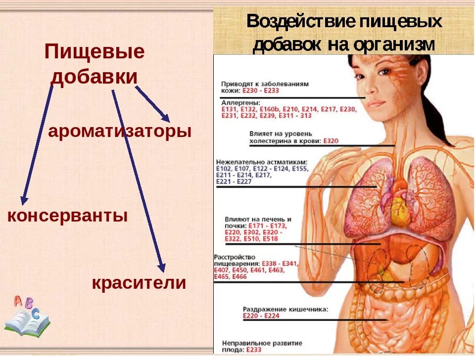 Влияние пищевых добавок на здоровье. Влияние ГМО на организм человека. Влияние на организм человека. Влияние пищевых добавок на организм.