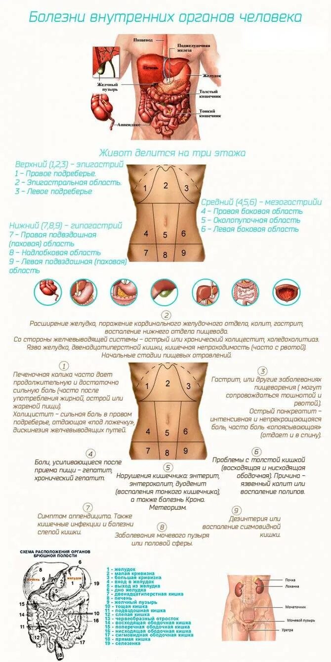 Левый бок живота и поясница боли