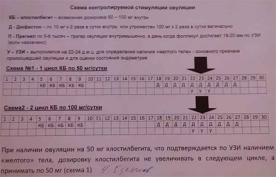 Летрозол овуляция отзывы. Клостилбегит схема стимуляции овуляции. Стимуляция клостилбегитом схема. Стимуляция овуляции клостилбегитом. Протокол стимуляции овуляции клостилбегитом.