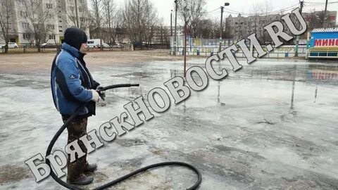 Погода в новозыбкове на 3 дня