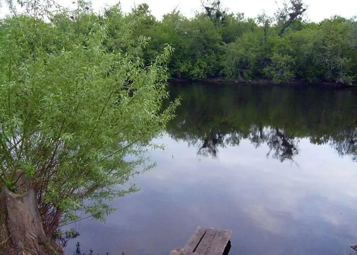 Погода в шапошниково оренбургская область. Погода в шапошниково оренбургская область. Белобандиты. Погода в шапошниково оренбургская область. Погода в шапошниково оренбургская область.