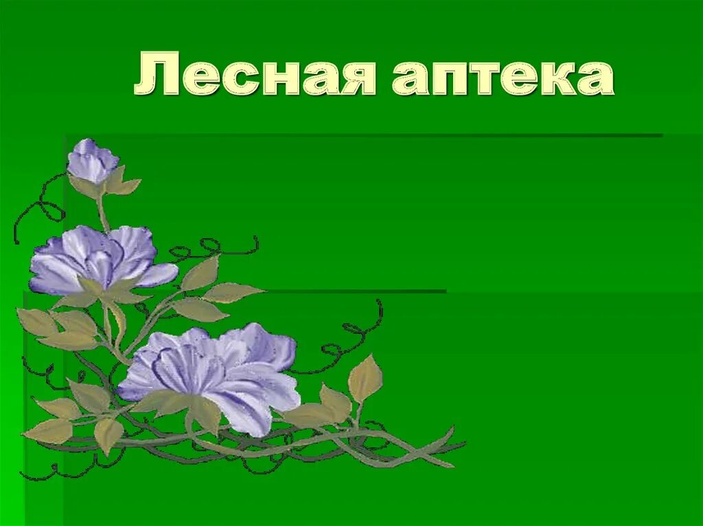 Презентация для второго класса. Лесная аптека. Презентация Лесная аптека. Лесная аптека 2 класс окружающий мир. Проект Лесная аптека 2 класс окружающий мир.