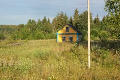Погода подосинки дмитровский
