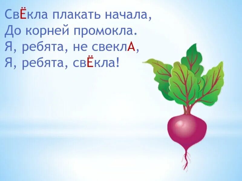 Ударение в словах свекла торты. Свёкла или свекла. Свекла плакать начала. Слово свекла. Свекла литературный вариант.